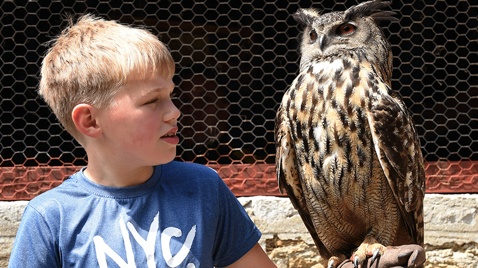 Family days out near Weymouth - Abbotsbury Children's Farm, meet owls